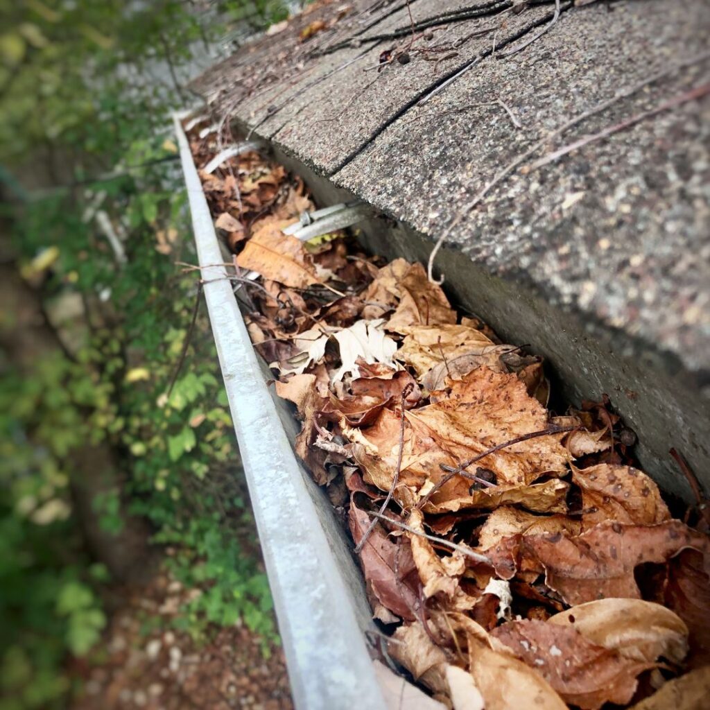 clogged gutters